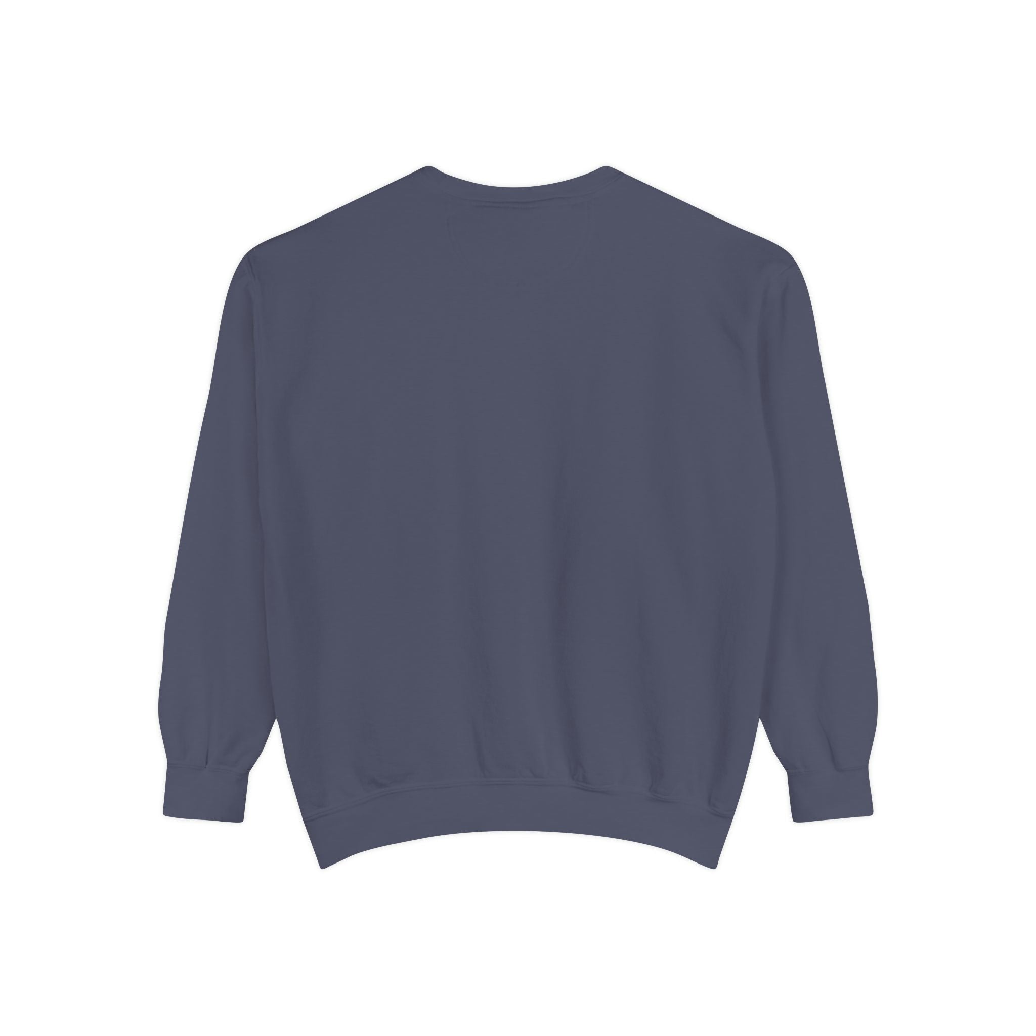 Sweatshirt — In My Wellness Era