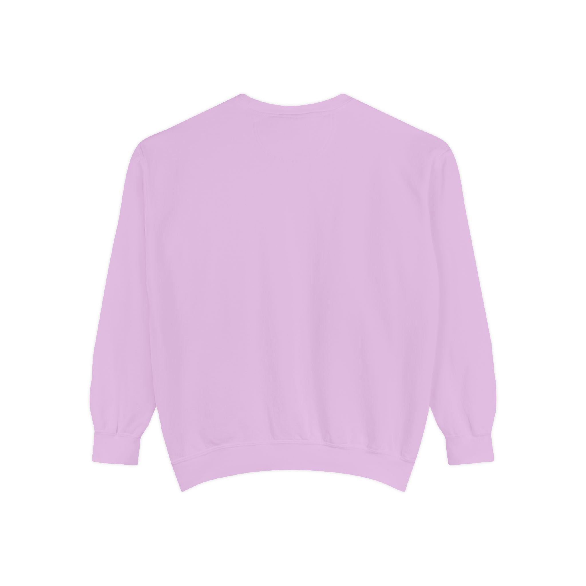 Sweatshirt — In My Wellness Era