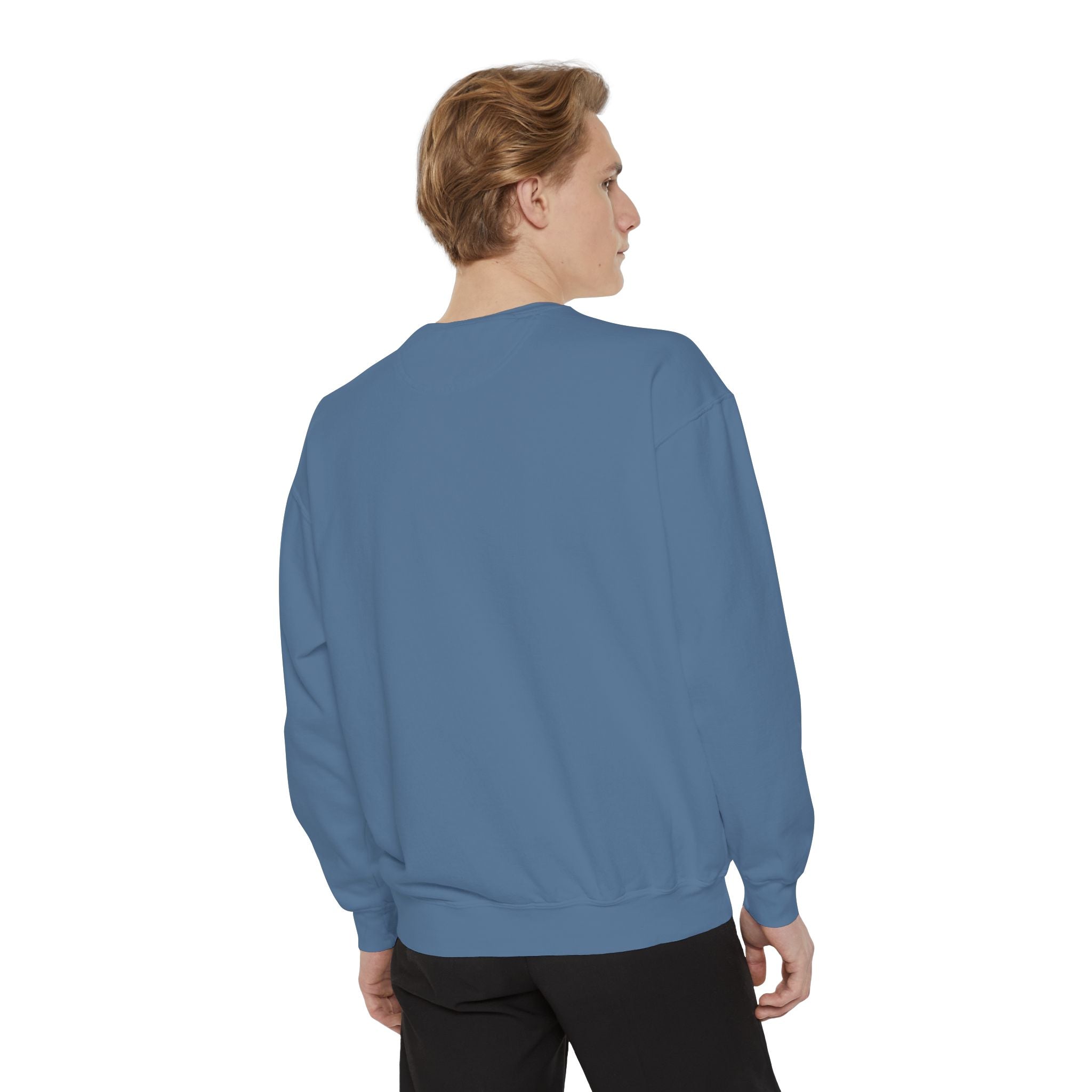 Sweatshirt — In My Wellness Era