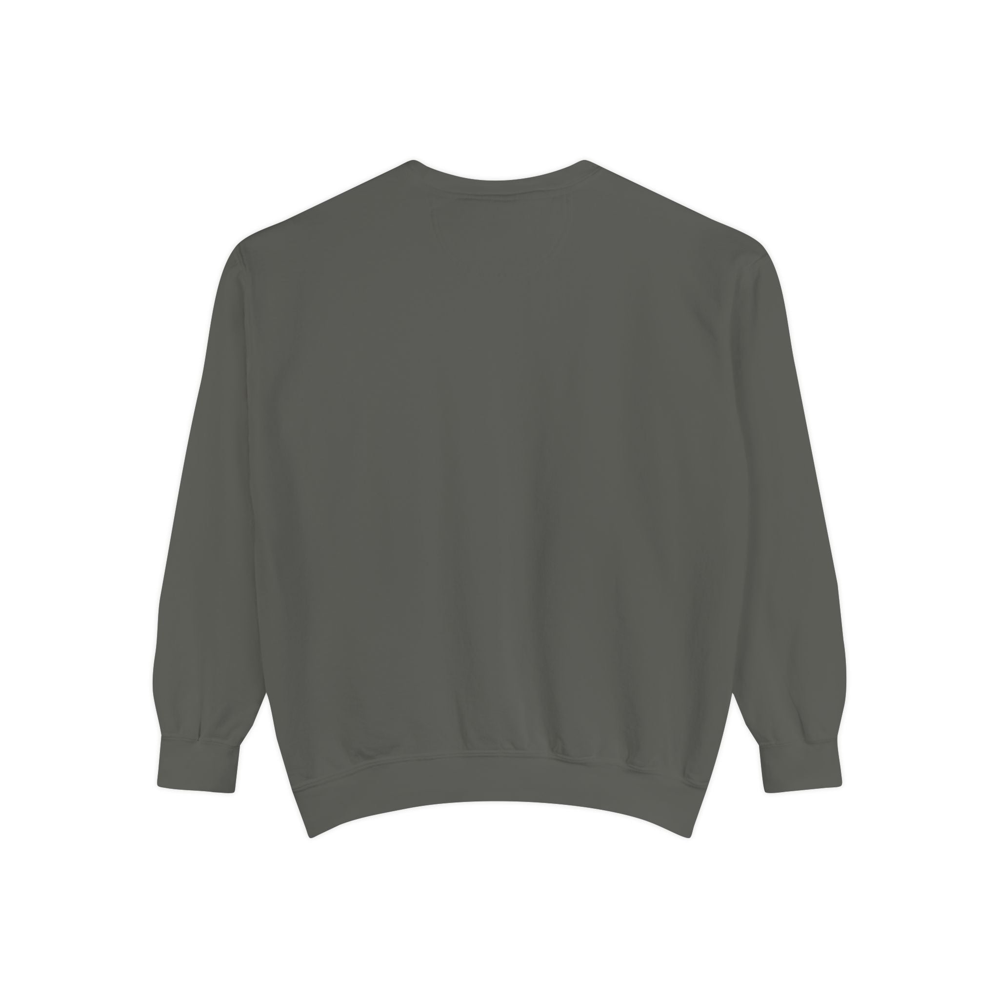 Sweatshirt — In My Wellness Era