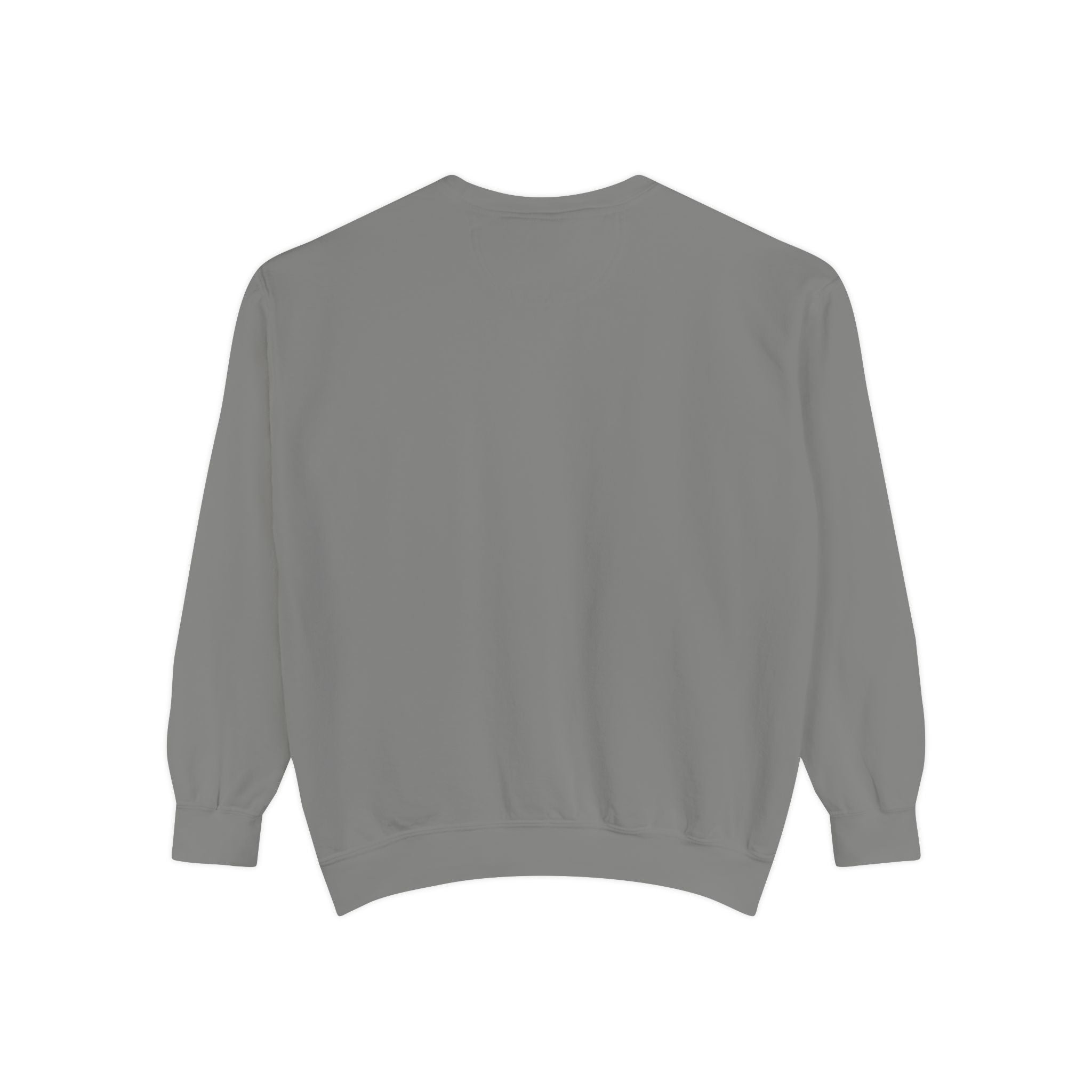 Sweatshirt — In My Wellness Era