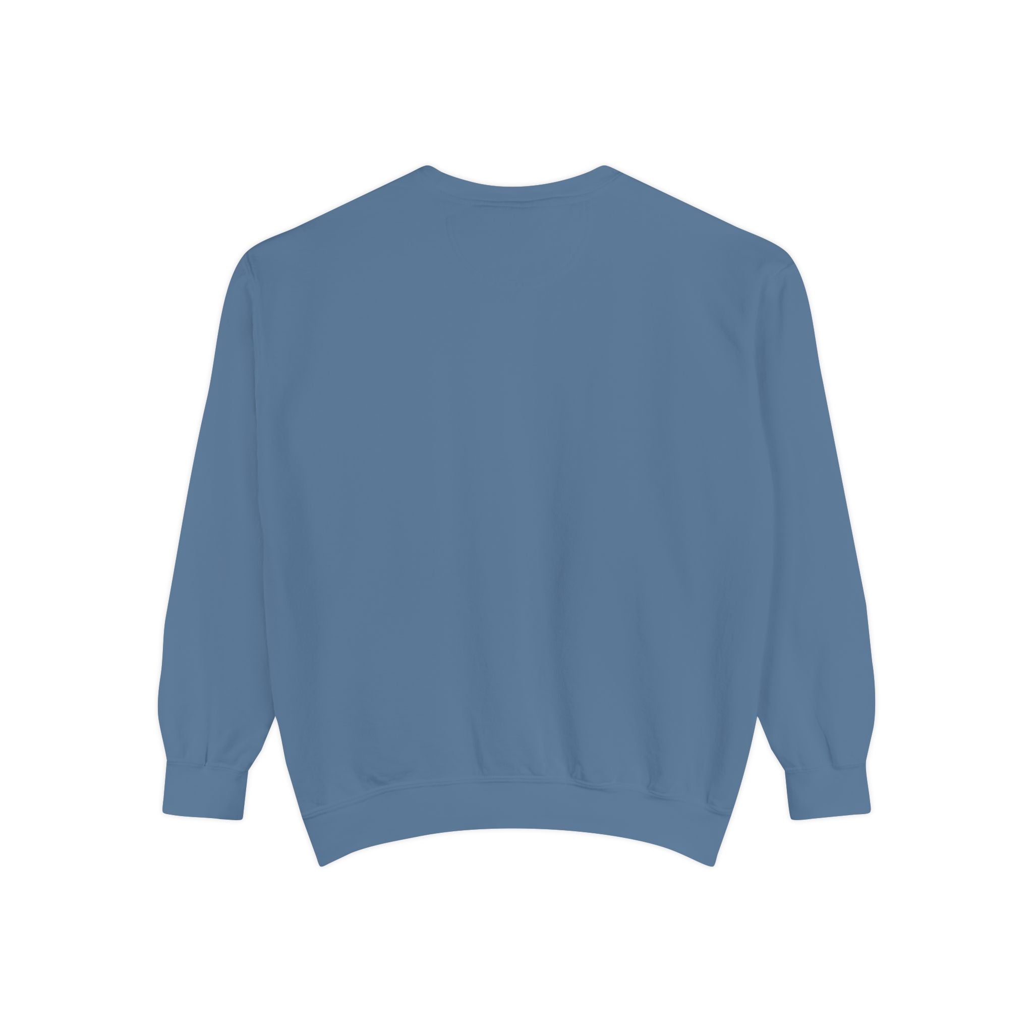 Sweatshirt — In My Wellness Era