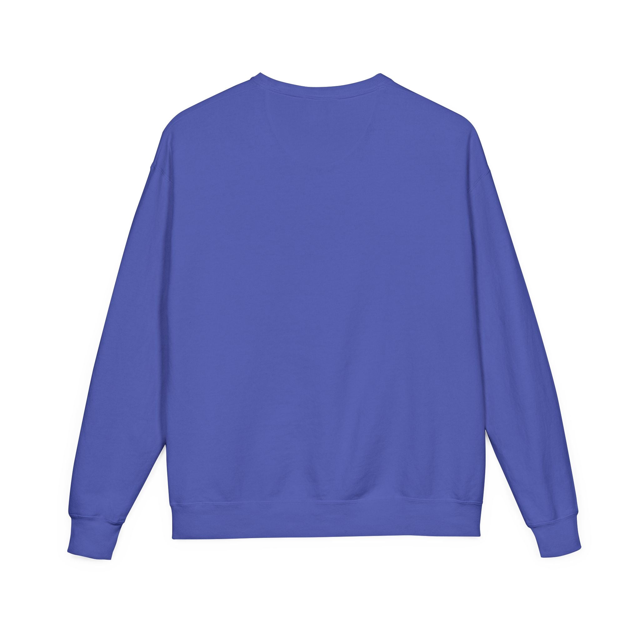 Soul Suit Sweatshirt – Retro Rainbow Crewneck ("This Is My Soul Suit")